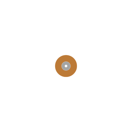 Busch 9590M 100 SOFT DISC POL ORANGE M - (Pack of 100) Bur Made in Germany