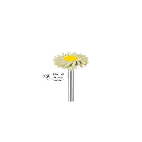 Busch 9821 140 RA CERA POL DIA F - (Pack of 2) Bur Made in Germany