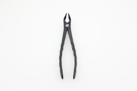 Helmut Zepf 12.221.90ZTI #321 Modified lower premolar extraction forceps, Onyx Coating - full front view