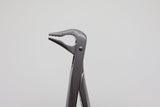 Helmut Zepf 12.236.07ZD #36N Modified lower incisor and premolar extraction forceps - beaks front view