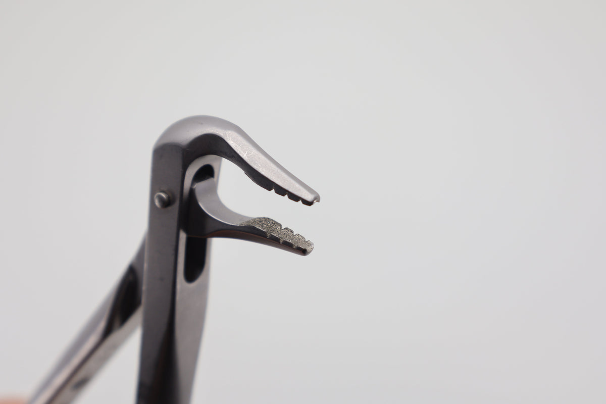 Helmut Zepf 12.236.07ZD #36N Modified lower incisor and premolar extraction forceps - diamond coated beak close-up