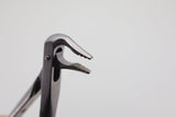 Helmut Zepf 12.236.07ZD #36N Modified lower incisor and premolar extraction forceps - diamond coated beak close-up