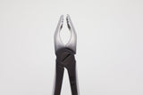 Helmut Zepf 12.218.00ZD #18 Modified upper left molar extraction forceps - beaks front view