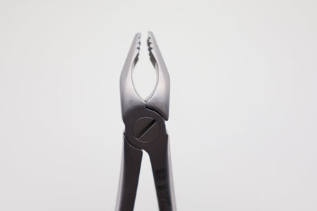 Helmut Zepf 12.218.00ZD #36N Modified lower incisor and premolar extraction forceps - beaks front view
