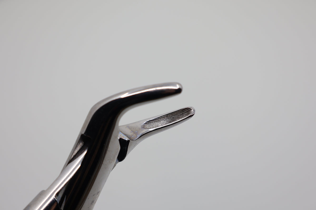 Helmut Zepf 14.151.00 Cryer #151 extraction forceps - open beaks view