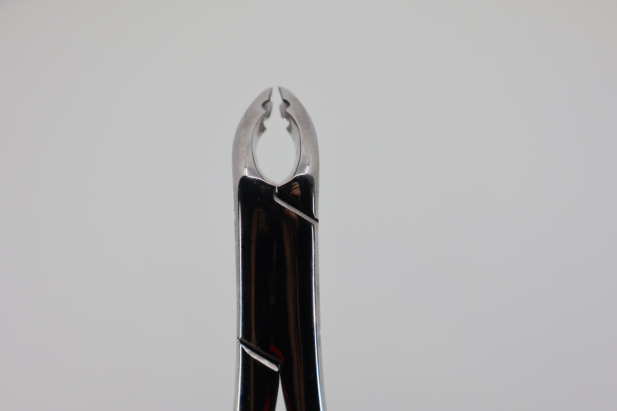 Helmut Zepf 14.151.10 extraction forceps #151-AB - beaks front view