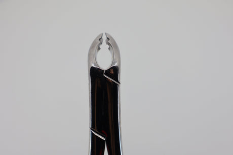 Helmut Zepf 14.151.10 extraction forceps #151-AB - beaks front view