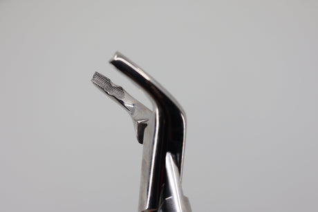 Helmut Zepf 14.151.10 extraction forceps #151-AB - beak close-up