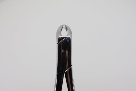 Helmut Zepf 14.151.11 pediatric extraction forceps #151-AS - beaks front view