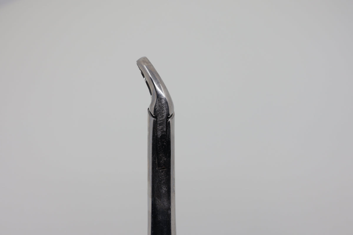 Helmut Zepf 14.150.10 Cryer #150-AB extraction forceps - beak profile view