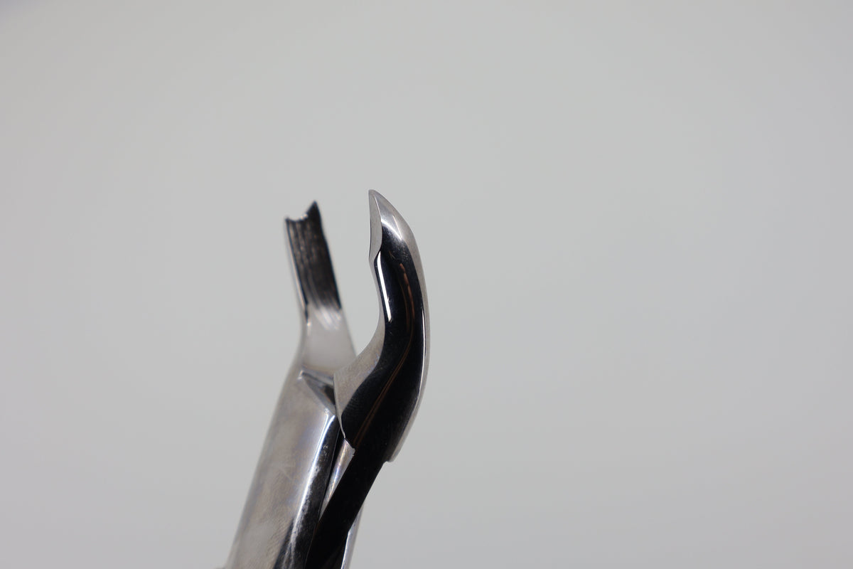 Helmut Zepf 14.090.00 extraction forceps #90 - serrated beak close-up