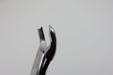 Helmut Zepf 14.090.00 extraction forceps #90 - serrated beak close-up