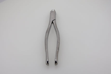 Helmut Zepf 14.010.11 extraction forceps #10-AS American Pattern upper molars - full front view