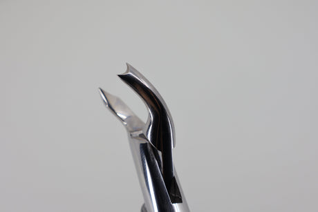 Helmut Zepf 14.089.00 extraction forceps #89 - beak close-up