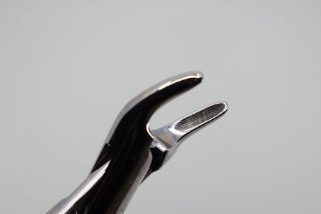 Helmut Zepf 14.150.00 Cryer #150 extraction forceps - beak close-up