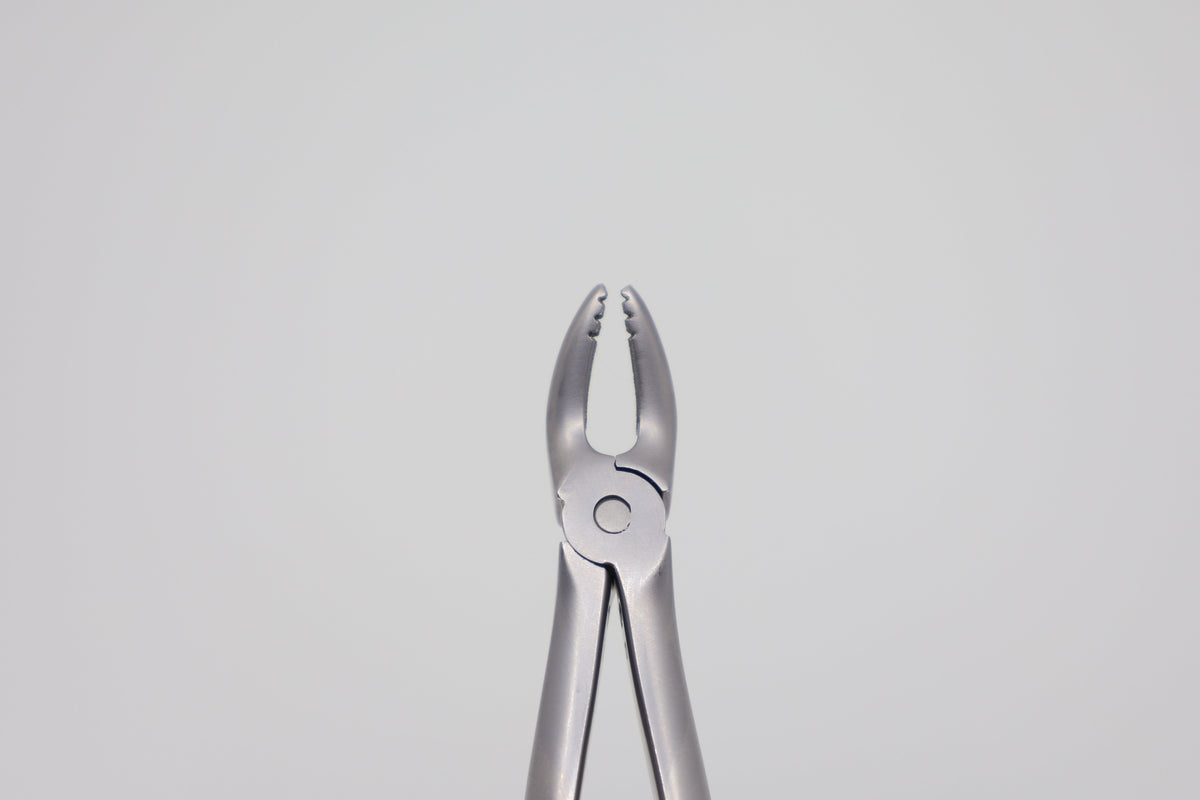Pediatric extraction forceps #7 Roba diamond coated 10.685.07ZD, full view