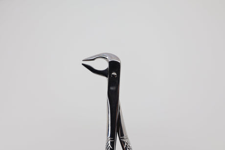 Extraction forceps #74 lower roots 10.074.91, angled view