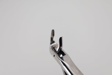 Extraction forceps #74 lower roots 10.074.91, beak detail