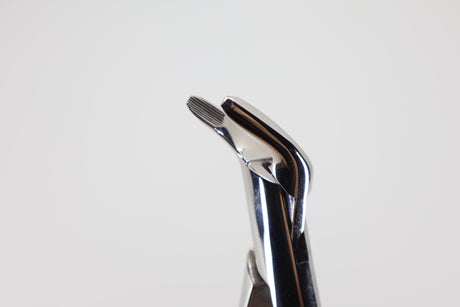 Extraction forceps #151-SB lower teeth 14.151.90, angled beak view