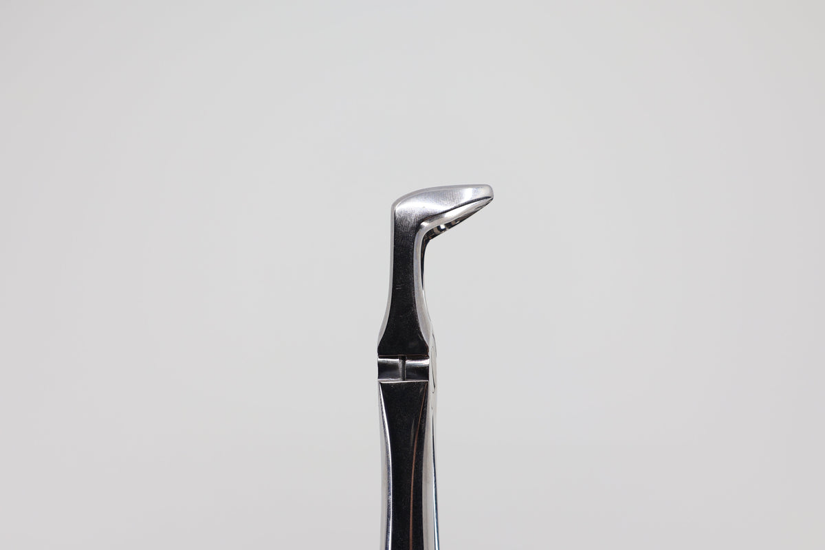 Extraction forceps #79 lower third molars 12.079.90, beak profile