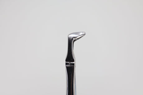 Extraction forceps #79 lower third molars 12.079.90, beak profile