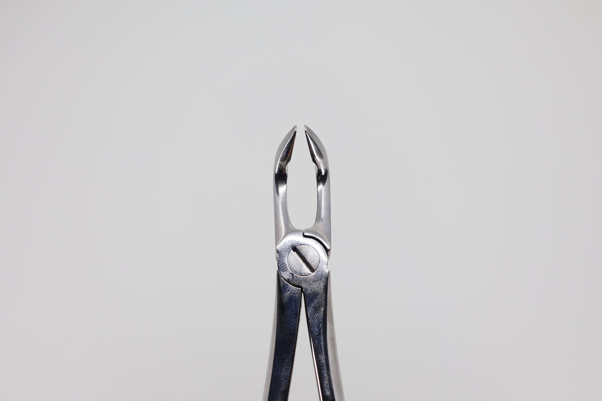 Extraction forceps #79 lower third molars 12.079.90, front view