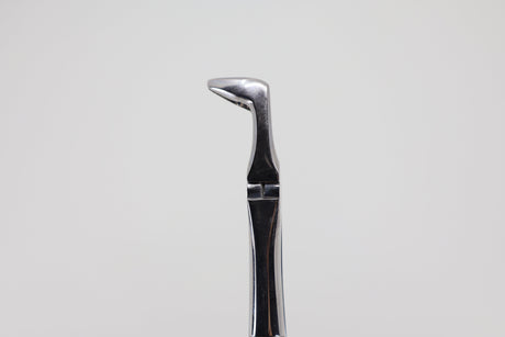 Extraction forceps #79 lower third molars 12.079.90, beak detail