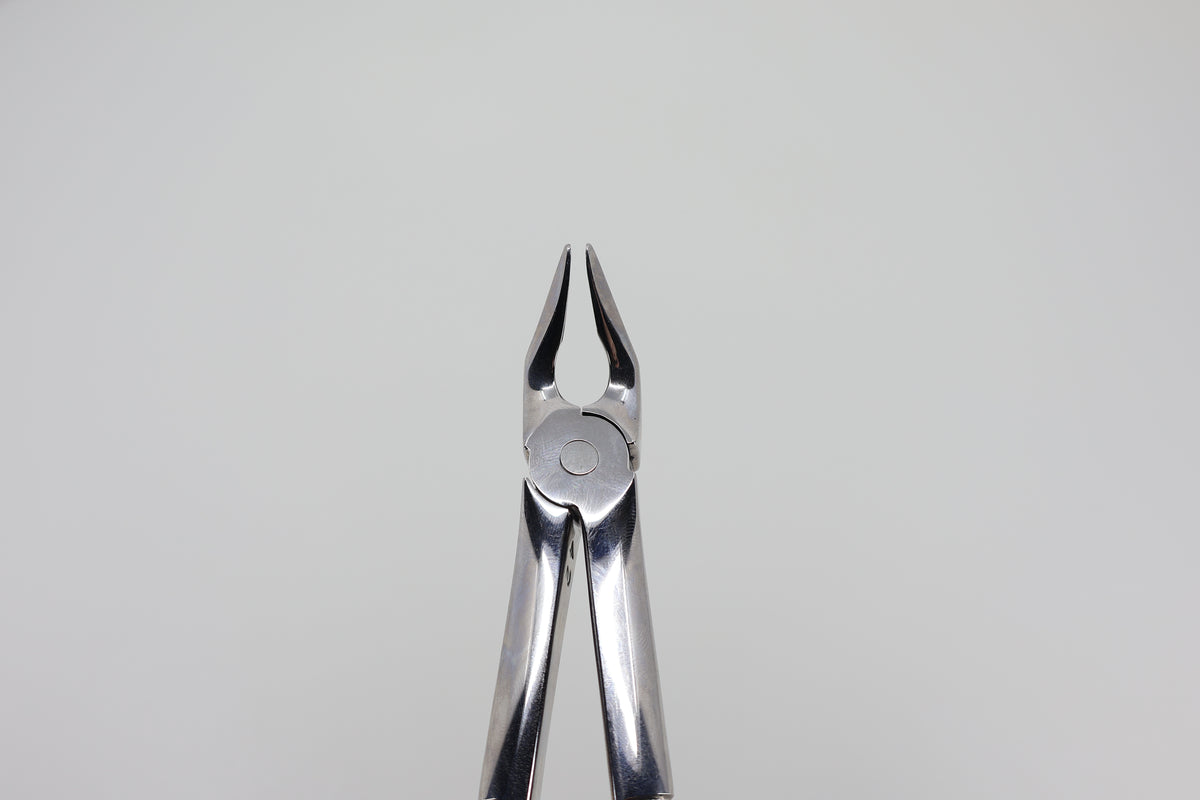 Helmut Zepf #7 extraction forceps beaks, front view