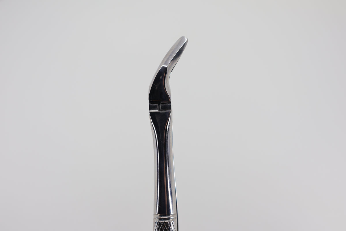 Helmut Zepf #7 extraction forceps, beak angle profile