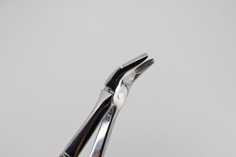 Helmut Zepf #7 extraction forceps beaks, close-up