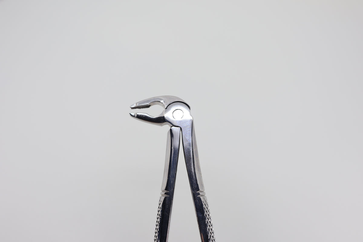 Extraction Forceps, English Pattern, #36, Lower Roots, Special Type | Helmut Zepf No. 12.036.02