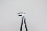 Extraction Forceps, English Pattern, #36, Lower Roots, Special Type | Helmut Zepf No. 12.036.02