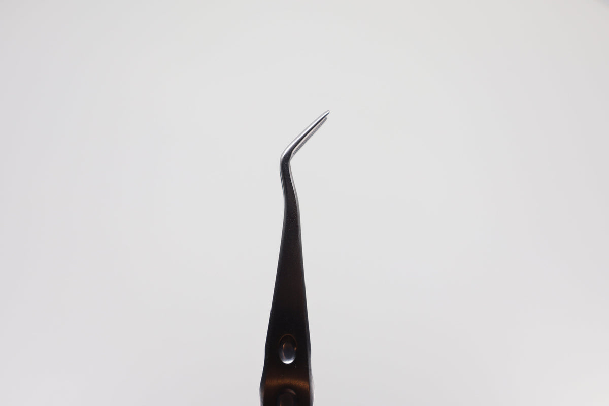 Tweezers with Stop-Pin (Cotton Pliers), Ergonomic 15 cm, Serrated Tip | Helmut Zepf No. 22.025.03