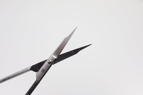 Goldman Fox Scissors, Straight - 13 cm, Supercut Micro Serrated Edge, Surgical Tissue, Dental Gum Scissors | Helmut Zepf No. 46.200.13SC