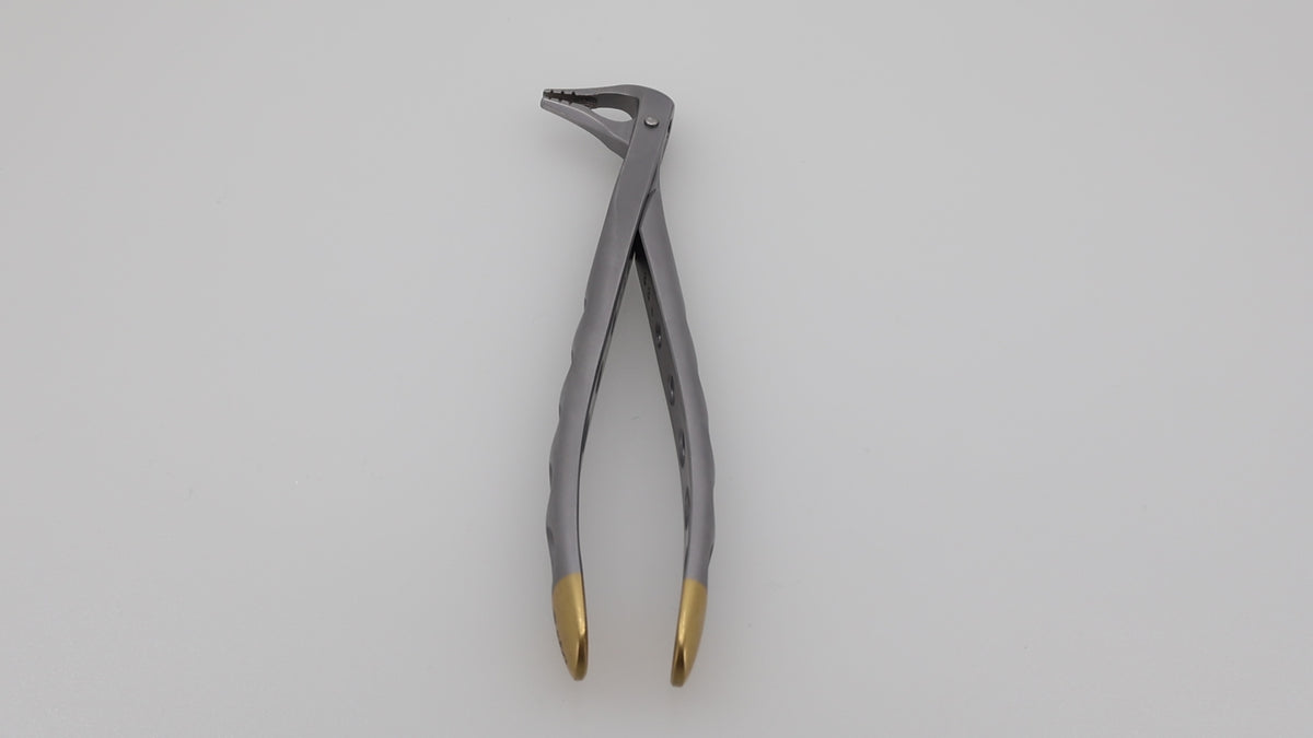 Helmut Zepf 12.236.07ZD #36N Modified lower incisor and premolar extraction forceps product video
