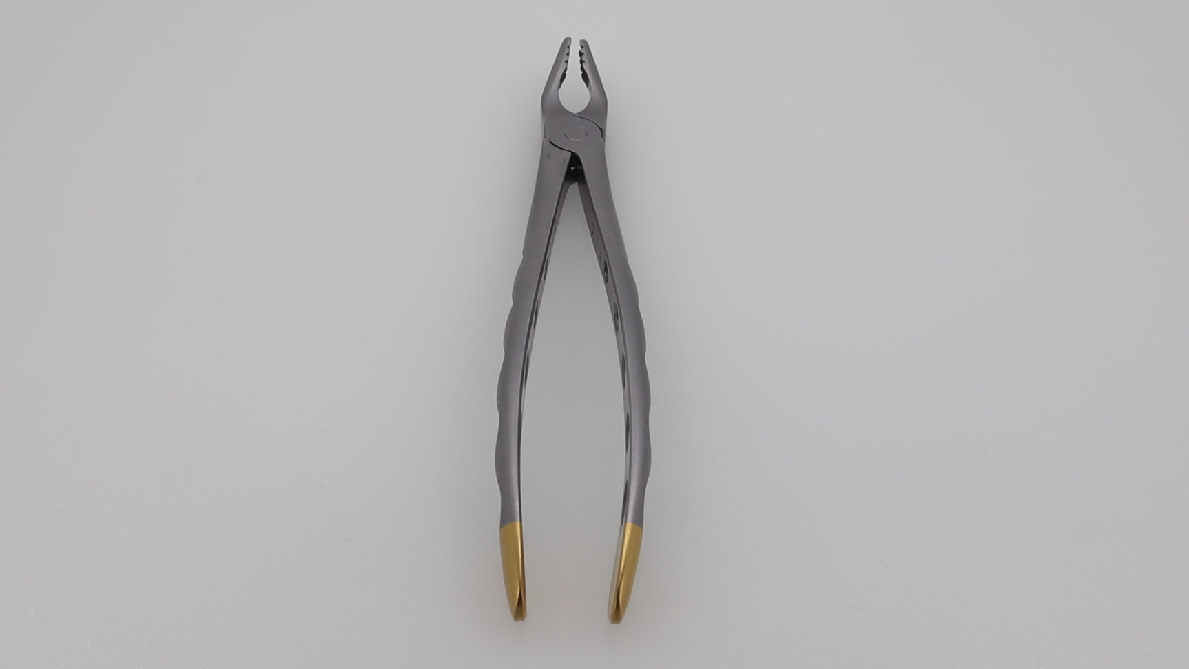 Helmut Zepf 12.218.00ZD #36N Modified extraction forceps product video