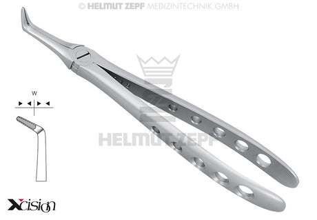 Xcision-Line® Extraction Forceps for Roots, #45-F, for the Lower Jaw | Helmut Zepf No. 12.045.07Z