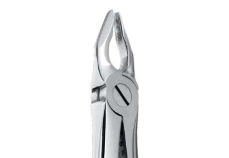 Helmut Zepf 10.002.90 Extraction Forceps English Pattern #2 Upper Incisors and Canines