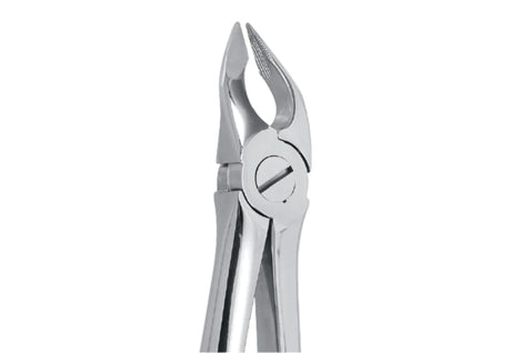Helmut Zepf 10.035.07 Extraction Forceps English Pattern #35N Upper Premolars