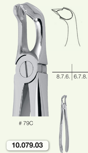 Helmut Zepf 10.079.03 Extraction Forceps English Pattern #79C Lower Molars